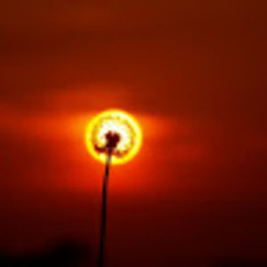 Meet your Posher, Ted